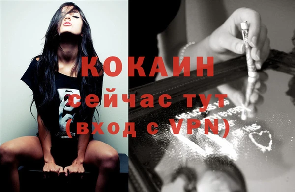 шишки Балабаново